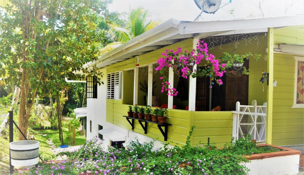 Leatherback Lodge Eco B&B Salybia エクステリア 写真