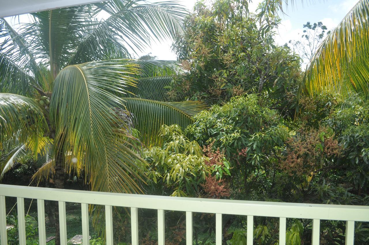 Leatherback Lodge Eco B&B Salybia エクステリア 写真