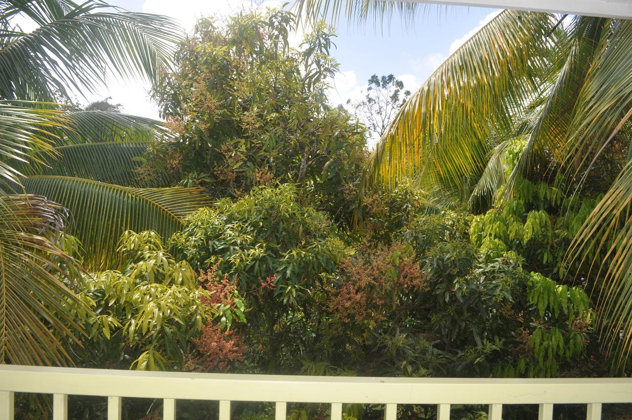 Leatherback Lodge Eco B&B Salybia エクステリア 写真